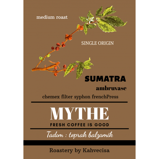 Sumatra Ambruvase